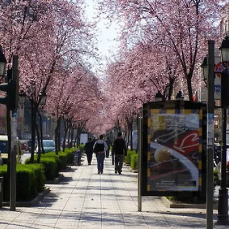 Cozy Great Location Apartment Tirana